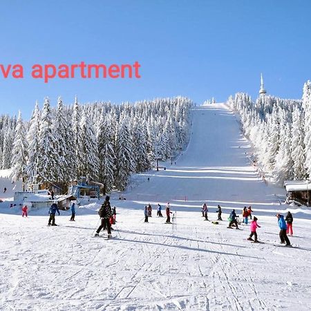 Viva 6 Apartment In Hotel Stenata Pamporovo Buitenkant foto